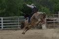 Bullriding 1.jpg
