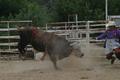 Bullriding 3.jpg