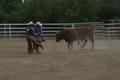 Bullriding 4.jpg