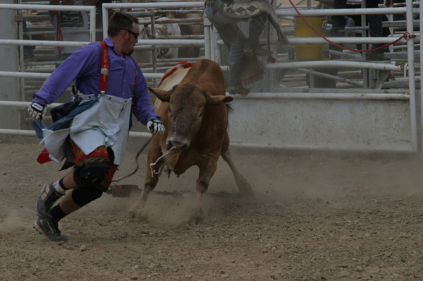 Bullriding 2.jpg