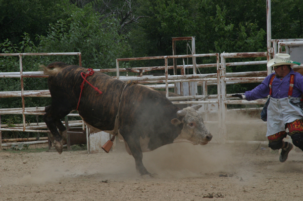 Bullriding 3.jpg