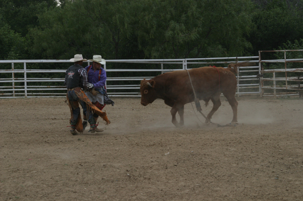 Bullriding 4.jpg