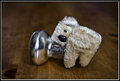 Jun 29 Koala.jpg