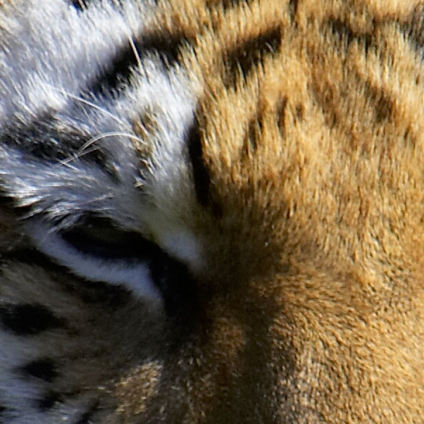 TC at f/10 crop.jpg