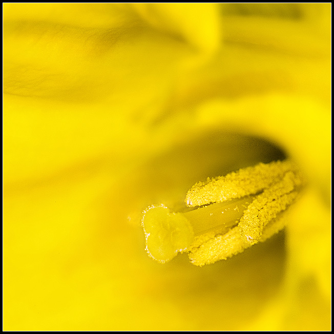 Mar 18