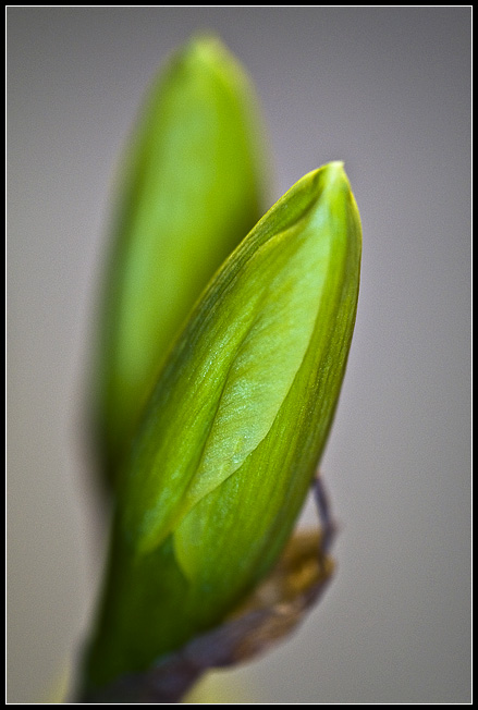 Mar 19