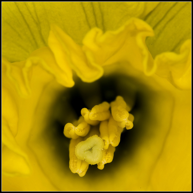 Mar 20
