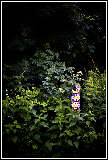 Jun 07 (85).jpg