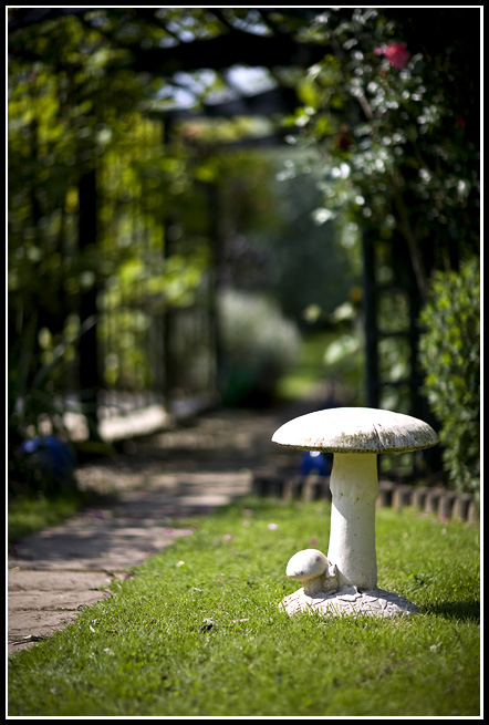 Jun 08 (85).jpg