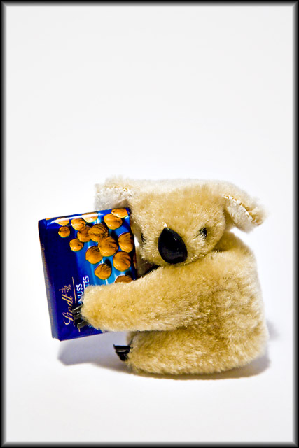Jun 11 Koala.jpg