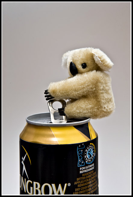 Jun 13 Koala.jpg