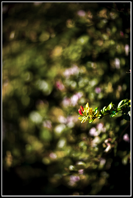 Jun 22 (85).jpg