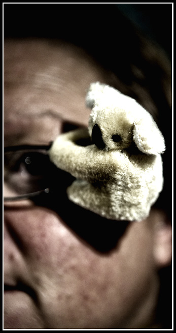 Jun 26 Koala.jpg