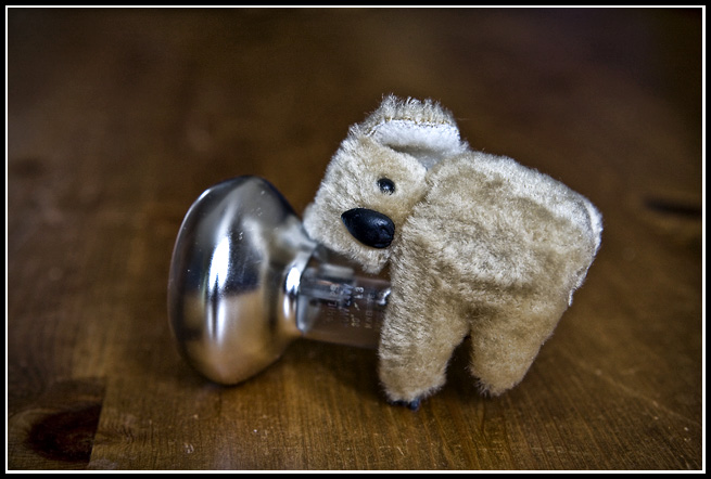 Jun 29 Koala.jpg