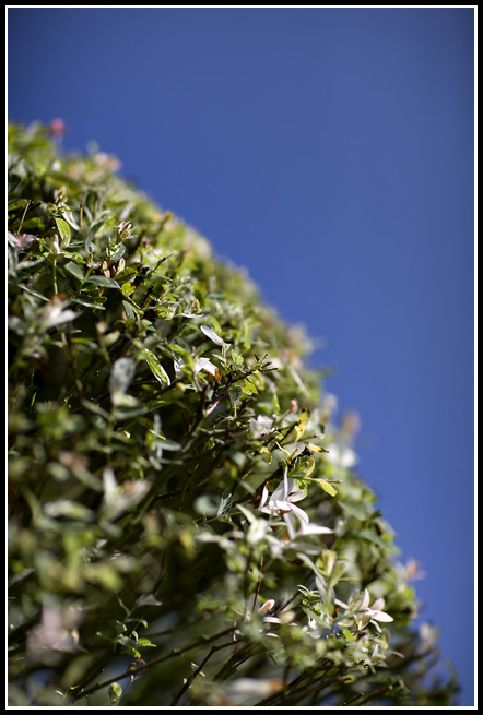 Jun 28 (85).jpg