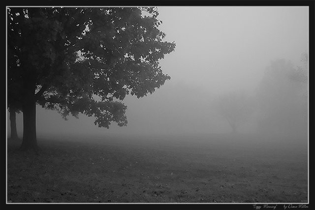 foggy morning