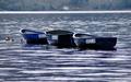 3 wee boats