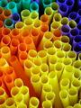 circlestraw.jpg