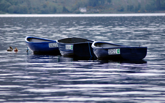 3 wee boats