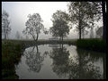 Mist.JPG