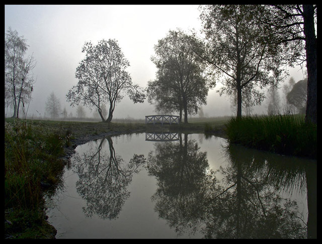 Mist.JPG