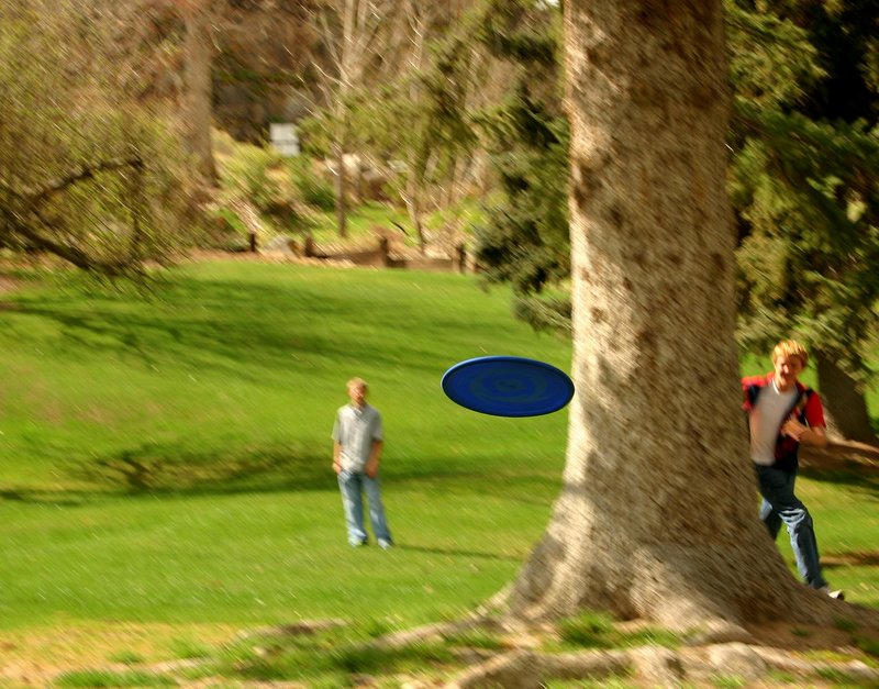Playing Frisbee