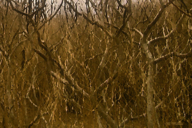 branch chaos