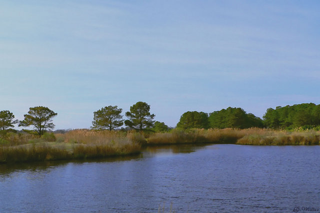 Coastal Lake