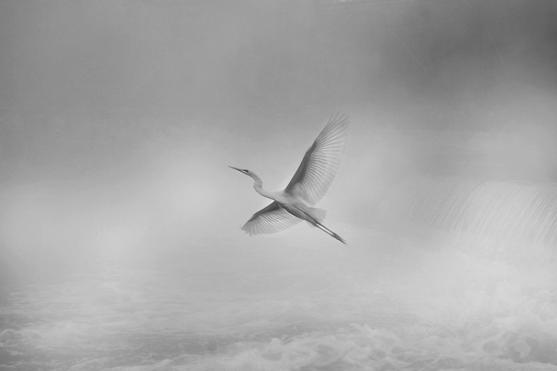 01 Misty Flight