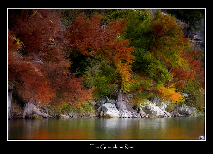 The Guadalupe River