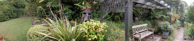 Whitianga Backyard