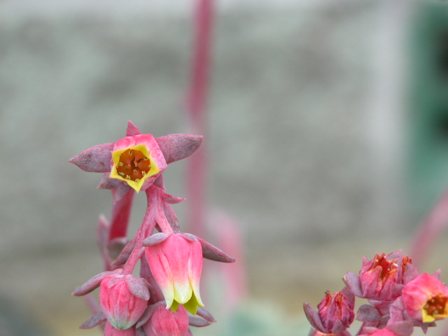 First Macro Attempt