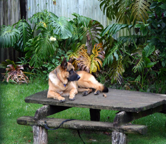 Eating At The Table