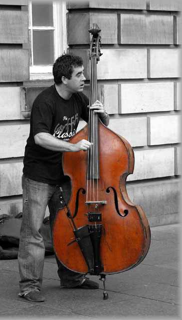 The Bass Player