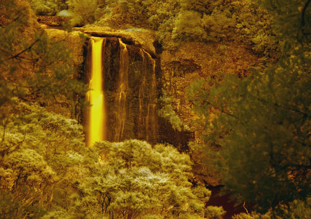 The Golden Waterfall