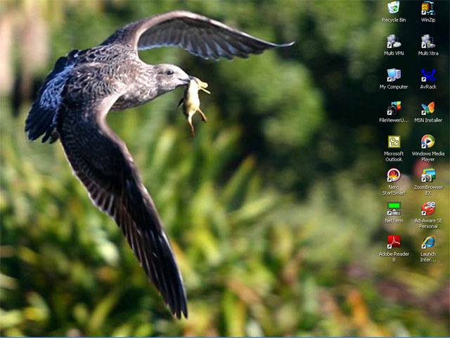 Work Desk Top