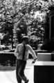 img0d14.jpg