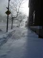 too-cold-nobody-out.jpg