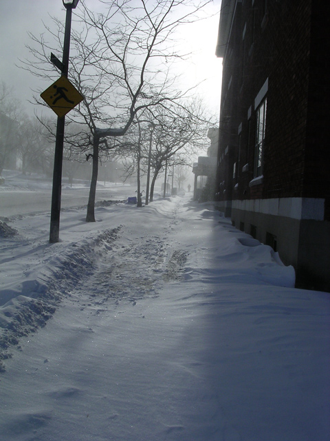 too-cold-nobody-out.jpg