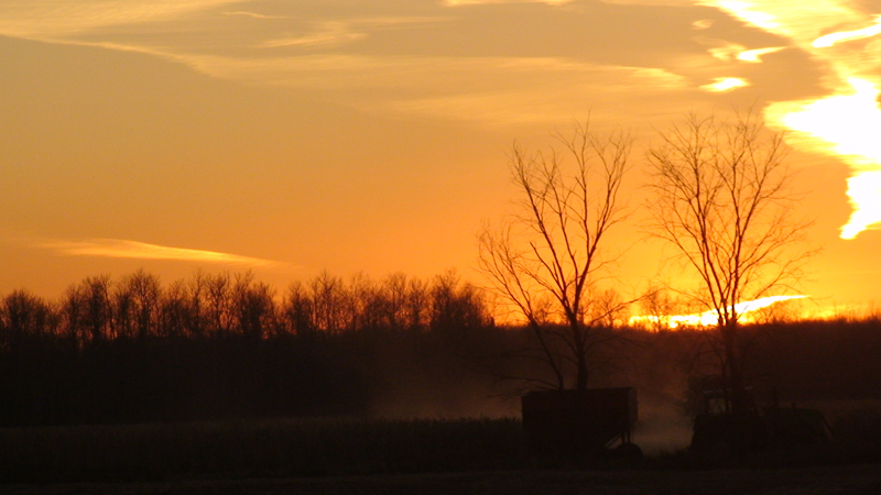 truck-load-at-dusk