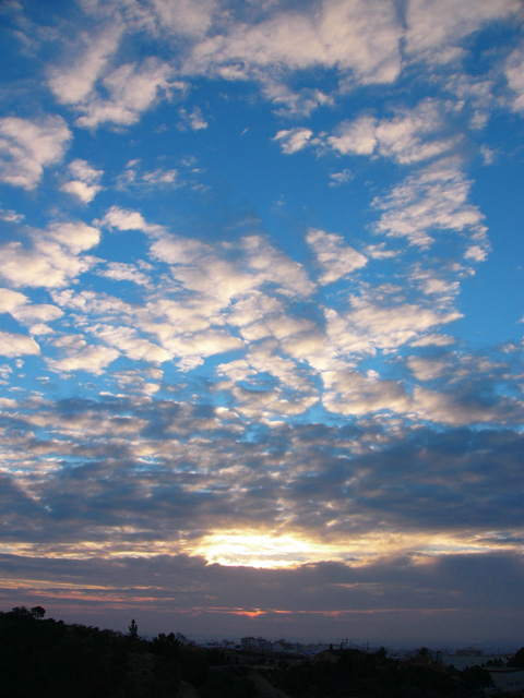 P1050074 - 640.jpg