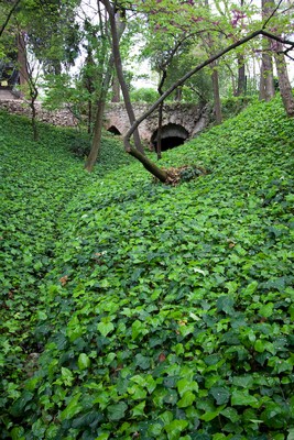 Image00001.jpg