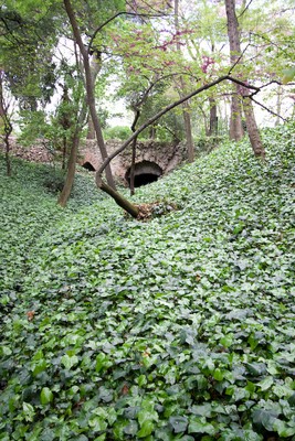 Image00002.jpg