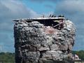Whale Rock IV