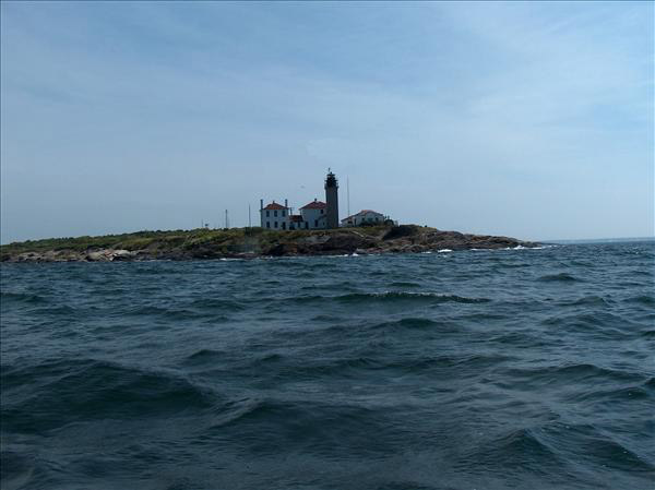 Beavertail