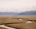 Rivers in the Ocean
