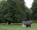 Little House on the Prarie