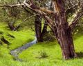 Picnic Spot