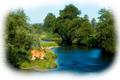 Doe by the River