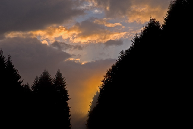 Double Sunrise